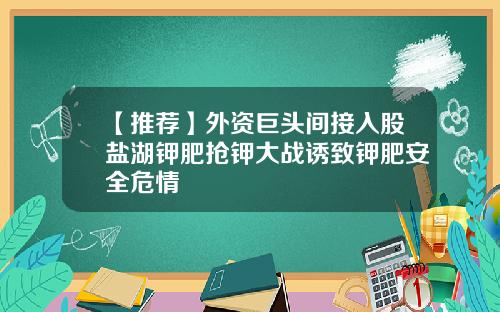 【推荐】外资巨头间接入股盐湖钾肥抢钾大战诱致钾肥安全危情