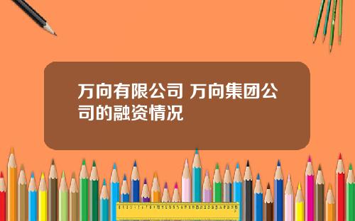 万向有限公司 万向集团公司的融资情况