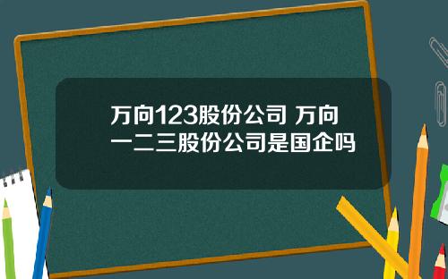 万向123股份公司 万向一二三股份公司是国企吗