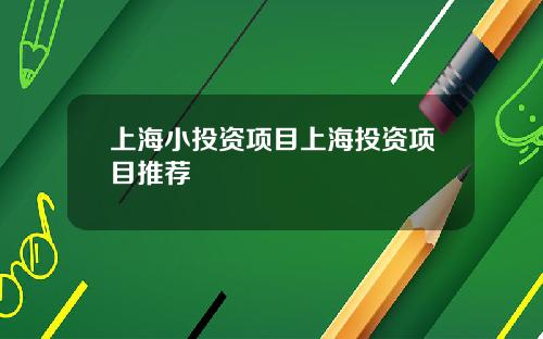 上海小投资项目上海投资项目推荐