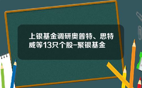 上银基金调研奥普特、思特威等13只个股-聚银基金