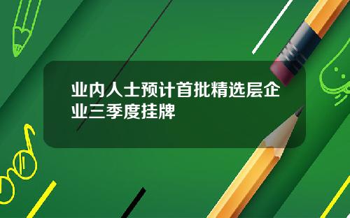 业内人士预计首批精选层企业三季度挂牌