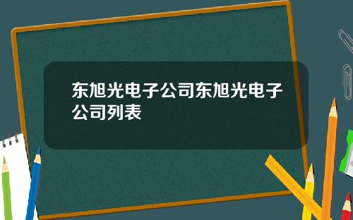 东旭光电子公司东旭光电子公司列表