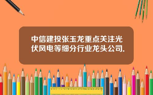 中信建投张玉龙重点关注光伏风电等细分行业龙头公司.