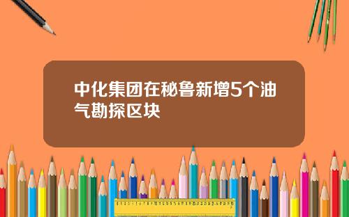 中化集团在秘鲁新增5个油气勘探区块