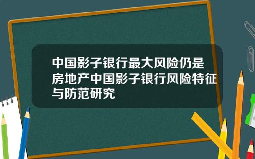 中国影子银行最大风险仍是房地产中国影子银行风险特征与防范研究