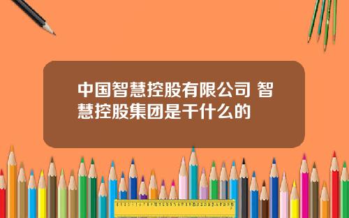 中国智慧控股有限公司 智慧控股集团是干什么的