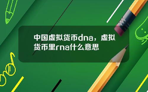 中国虚拟货币dna，虚拟货币里rna什么意思