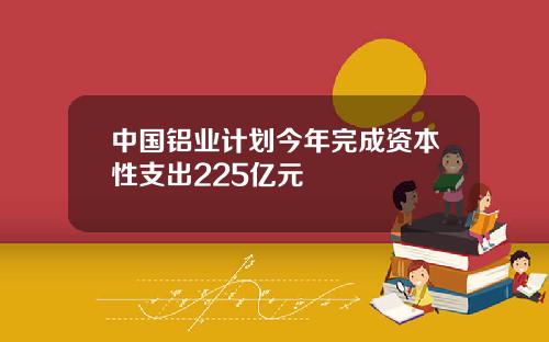 中国铝业计划今年完成资本性支出225亿元