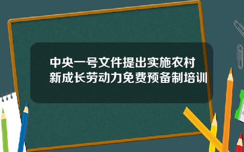 中央一号文件提出实施农村新成长劳动力免费预备制培训