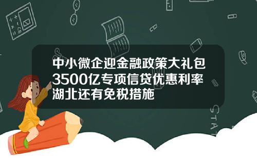 中小微企迎金融政策大礼包3500亿专项信贷优惠利率湖北还有免税措施