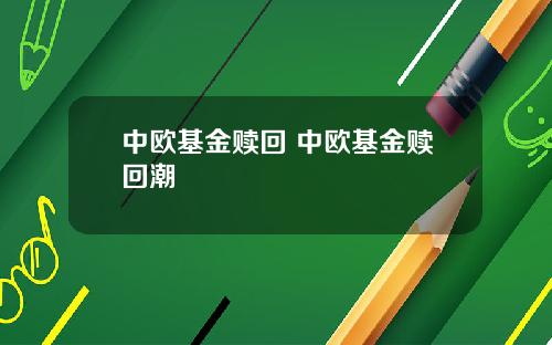 中欧基金赎回 中欧基金赎回潮