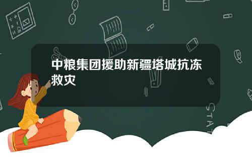 中粮集团援助新疆塔城抗冻救灾