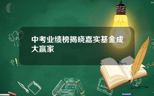 中考业绩榜揭晓嘉实基金成大赢家