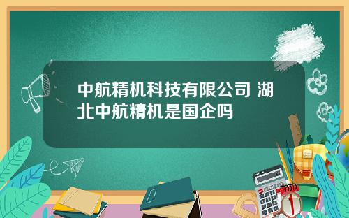 中航精机科技有限公司 湖北中航精机是国企吗