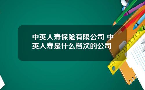 中英人寿保险有限公司 中英人寿是什么档次的公司