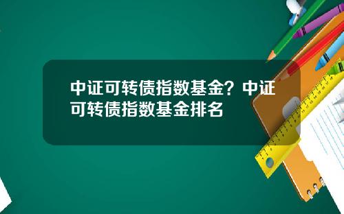 中证可转债指数基金？中证可转债指数基金排名