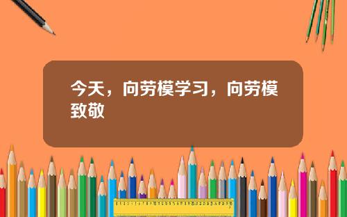 今天，向劳模学习，向劳模致敬