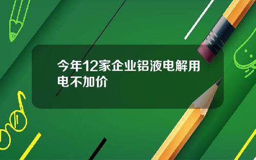 今年12家企业铝液电解用电不加价