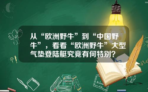 从“欧洲野牛”到“中国野牛”，看看“欧洲野牛”大型气垫登陆艇究竟有何特别？