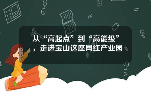 从“高起点”到“高能级”，走进宝山这座网红产业园