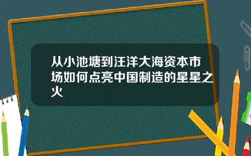 从小池塘到汪洋大海资本市场如何点亮中国制造的星星之火