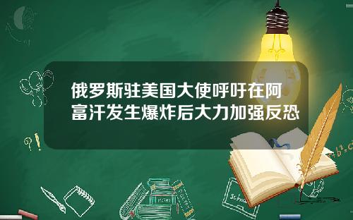 俄罗斯驻美国大使呼吁在阿富汗发生爆炸后大力加强反恐