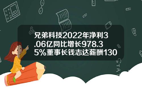 兄弟科技2022年净利3.06亿同比增长978.35%董事长钱志达薪酬130.28万-兄弟科技股份有限公司地址