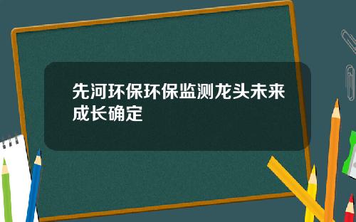 先河环保环保监测龙头未来成长确定