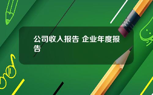 公司收入报告 企业年度报告