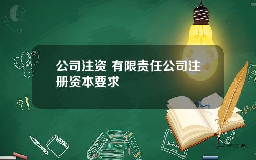 公司注资 有限责任公司注册资本要求