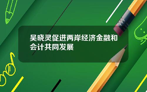 吴晓灵促进两岸经济金融和会计共同发展