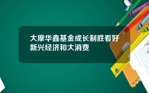 大摩华鑫基金成长制胜看好新兴经济和大消费