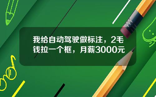 我给自动驾驶做标注，2毛钱拉一个框，月薪3000元