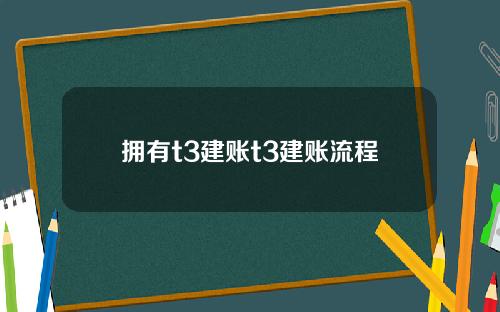 拥有t3建账t3建账流程