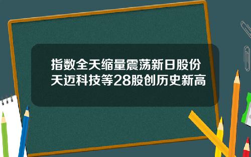 指数全天缩量震荡新日股份天迈科技等28股创历史新高