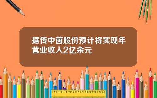 据传中茵股份预计将实现年营业收入2亿余元