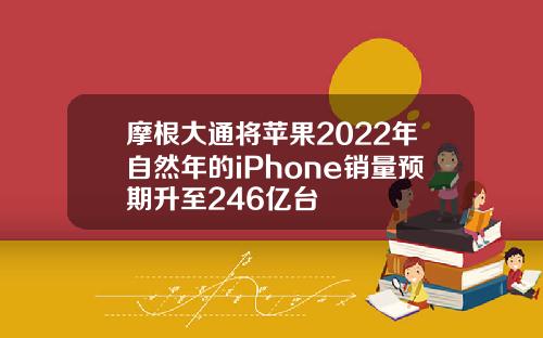 摩根大通将苹果2022年自然年的iPhone销量预期升至246亿台