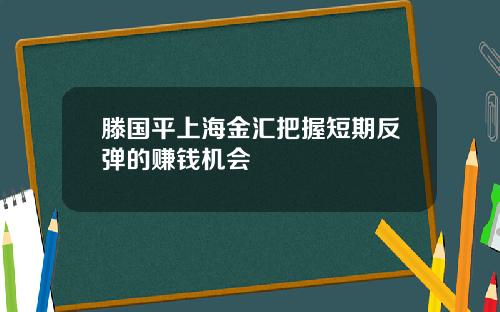 滕国平上海金汇把握短期反弹的赚钱机会