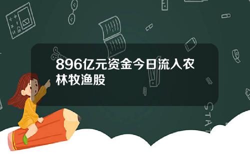 896亿元资金今日流入农林牧渔股