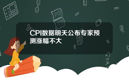 CPI数据明天公布专家预测涨幅不大