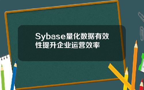 Sybase量化数据有效性提升企业运营效率