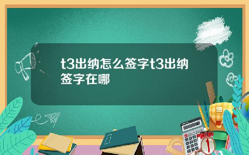 t3出纳怎么签字t3出纳签字在哪