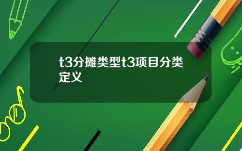 t3分摊类型t3项目分类定义