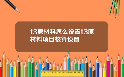 t3原材料怎么设置t3原材料项目核算设置