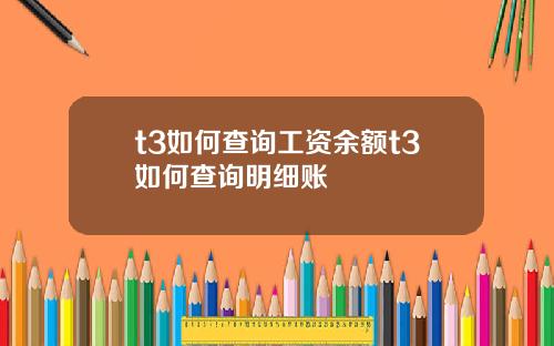 t3如何查询工资余额t3如何查询明细账