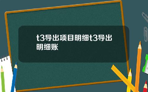 t3导出项目明细t3导出明细账