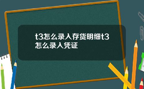 t3怎么录入存货明细t3怎么录入凭证