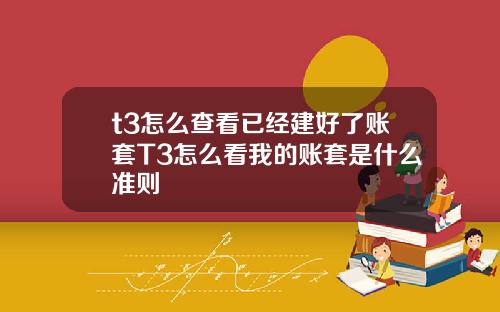 t3怎么查看已经建好了账套T3怎么看我的账套是什么准则