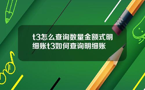 t3怎么查询数量金额式明细账t3如何查询明细账